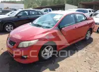 2009 Toyota COROLLA photo