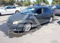2009 Toyota COROLLA photo