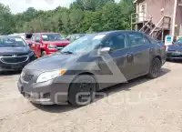 2009 Toyota COROLLA photo