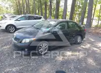 2009 Toyota COROLLA photo