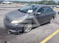 2009 Toyota COROLLA photo