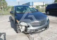 2009 Toyota COROLLA photo