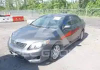 2009 Toyota COROLLA photo