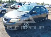 2009 Toyota COROLLA фото