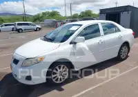 2009 Toyota COROLLA фото