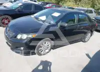 2009 Toyota COROLLA photo