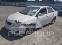 2009 Toyota COROLLA photo