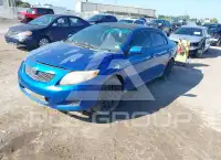 2009 Toyota COROLLA photo