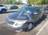 2009 Toyota COROLLA photo
