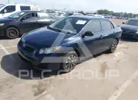 2009 Toyota COROLLA photo