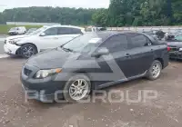 2009 Toyota COROLLA photo