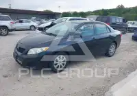 2009 Toyota COROLLA photo