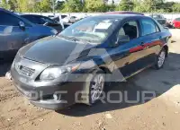 2009 Toyota COROLLA photo