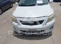 2009 Toyota COROLLA фото