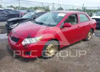 2009 Toyota COROLLA photo