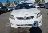 2009 Toyota COROLLA photo