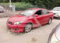 2009 Toyota COROLLA photo
