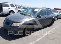 2009 Toyota COROLLA photo
