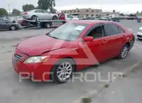 2009 Toyota CAMRY photo
