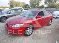 2009 Toyota CAMRY фото