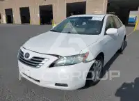 2009 Toyota CAMRY фото