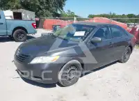 2009 Toyota CAMRY photo