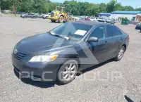 2009 Toyota CAMRY фото