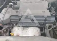 2009 KIA Sportage photo