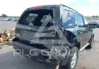 2009 Ford ESCAPE фото