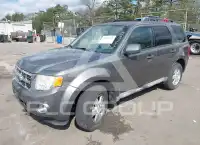 2009 Ford ESCAPE photo