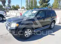 2009 Ford ESCAPE фото