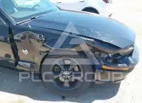 2009 Ford MUSTANG фото