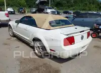 2009 Ford MUSTANG photo