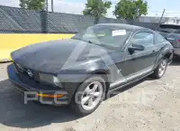 2009 Ford MUSTANG фото