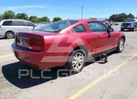 2009 Ford MUSTANG фото