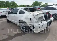 2009 Ford MUSTANG photo