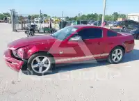 2009 Ford MUSTANG фото