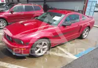 2009 Ford MUSTANG фото