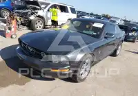 2009 Ford MUSTANG фото