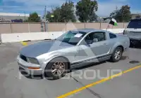 2009 Ford MUSTANG фото