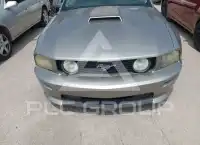 2009 Ford MUSTANG фото