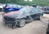 2009 Ford MUSTANG photo