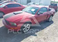 2009 Ford MUSTANG photo