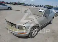 2009 Ford MUSTANG фото