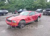 2009 Ford MUSTANG photo