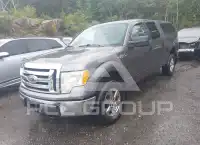 2009 Ford F-150 фото