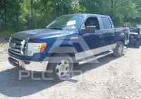2009 Ford F-150 фото