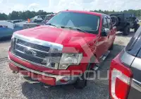 2009 Ford F-150 фото