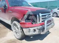 2009 Ford F-150 photo