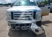 2009 Ford F-150 photo